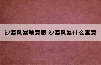 沙漠风暴啥意思 沙漠风暴什么寓意